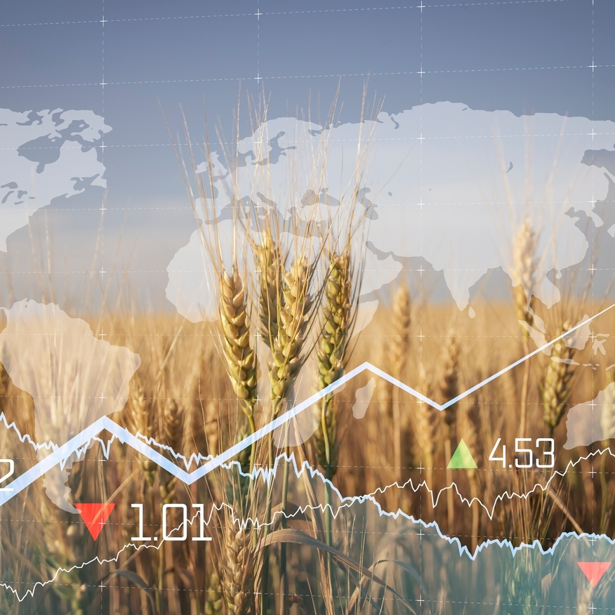 Food Inflation Cannot Be Avoided 