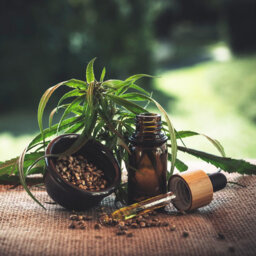The Start Of CBD Products And The End Of Tobacco?