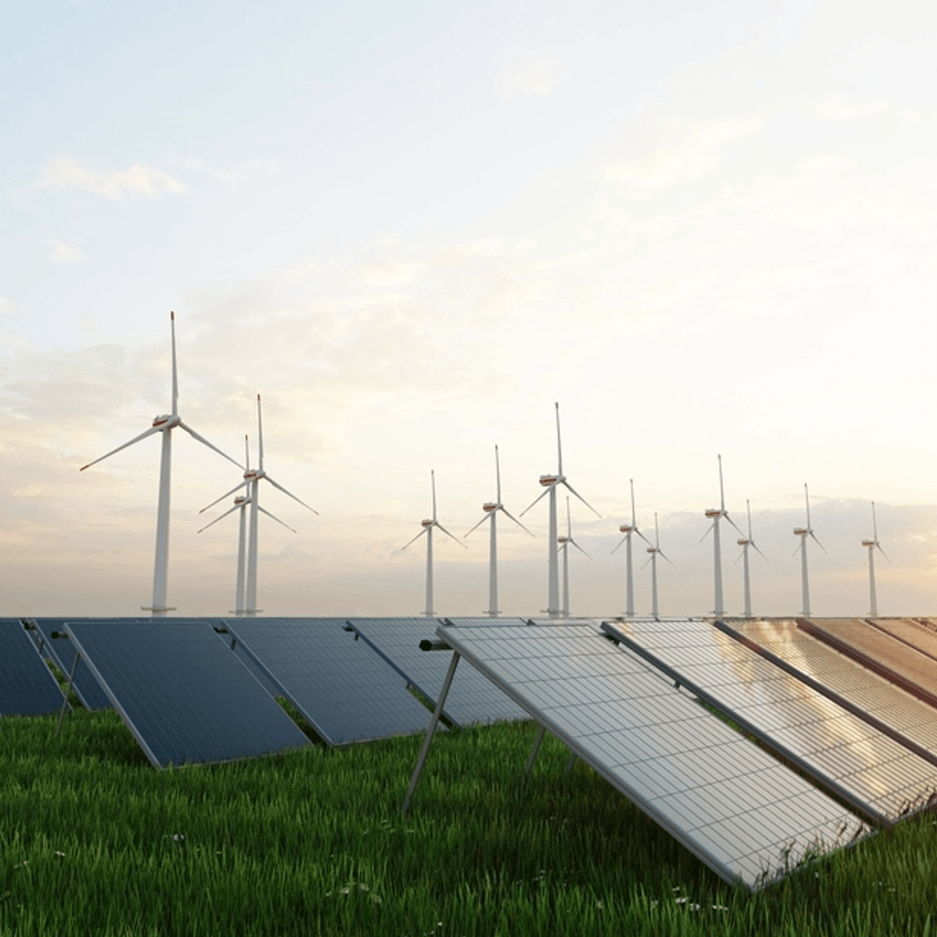 Cheaper Green Power for Corporates?