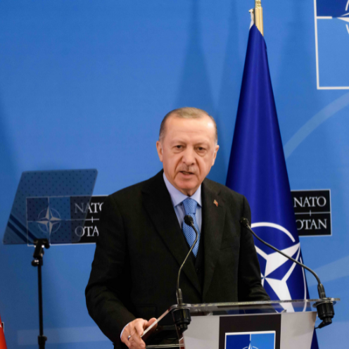Why Is Turkey Obstructing Sweden And Finland's NATO Membership?