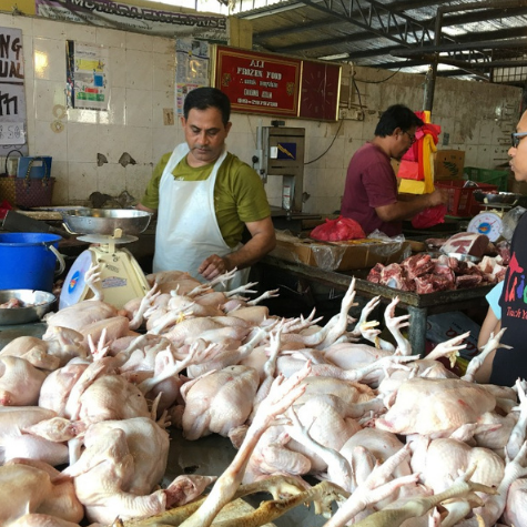 MyCC Probes Reports Of Fowl Play 