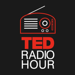 TED Radio Hour: Big Data Revolution