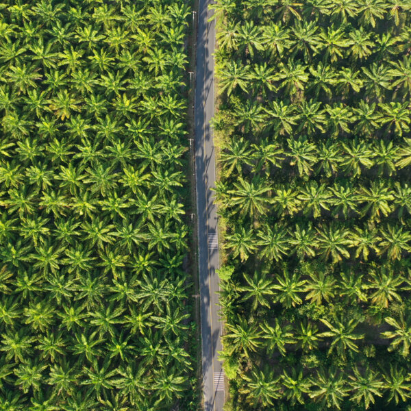 缺工潮卷土重来 种植股前景阴霾笼罩