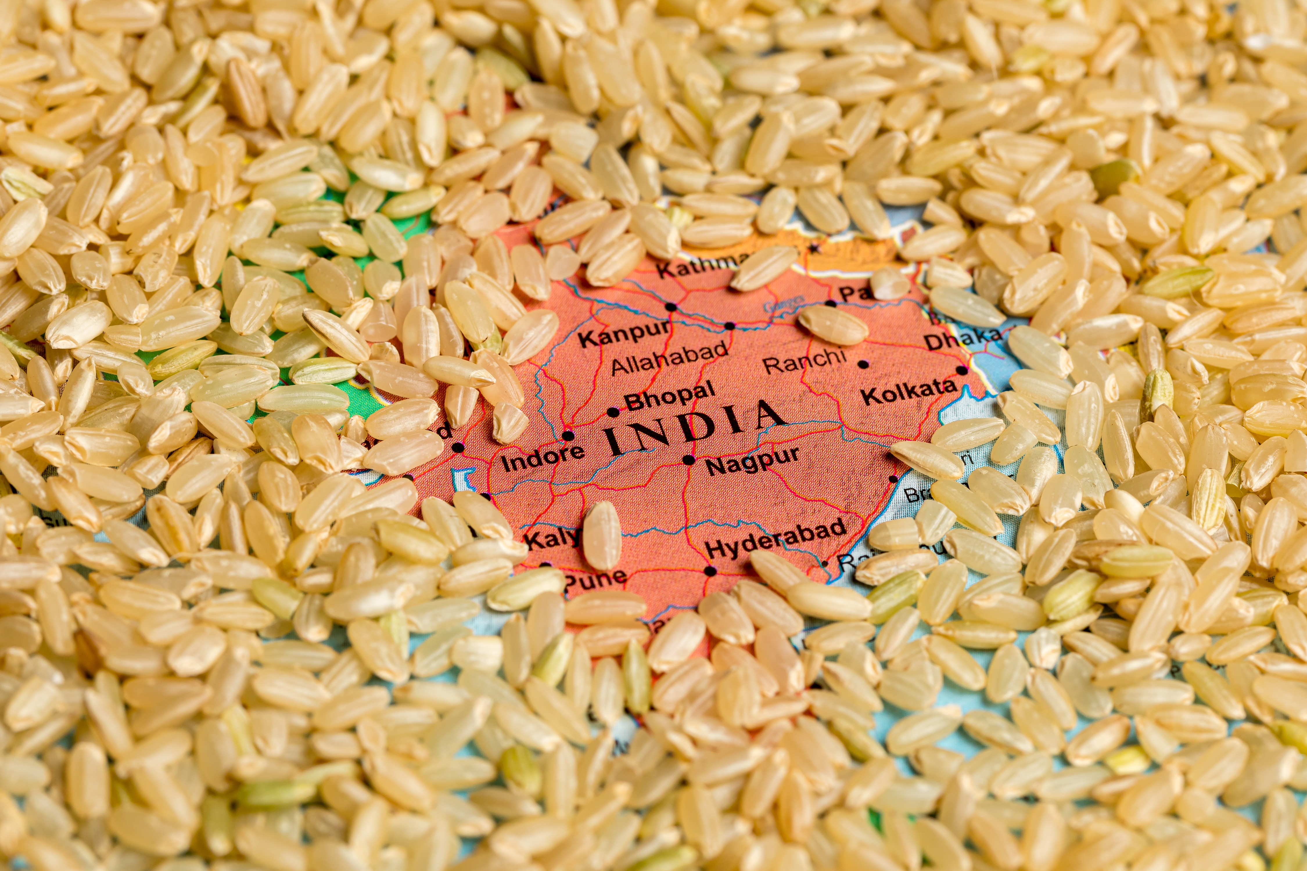印度限制大米出口！大马粮食供应安全吗？