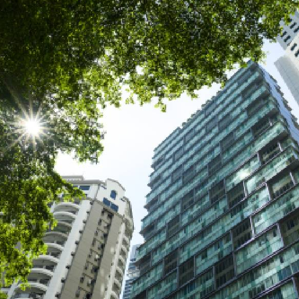 Green Buildings & Sustainable Architecture