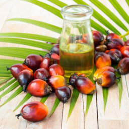 Peak Prices for Palm Oil to Moderate in 2H2022