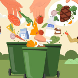 How Tech is Helping with Food Waste 