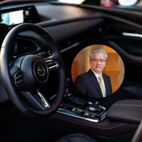 Bermaz Navigating Supply Chain Disruptions