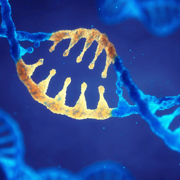 Brain Waves: Identifying Rare Disease Genes