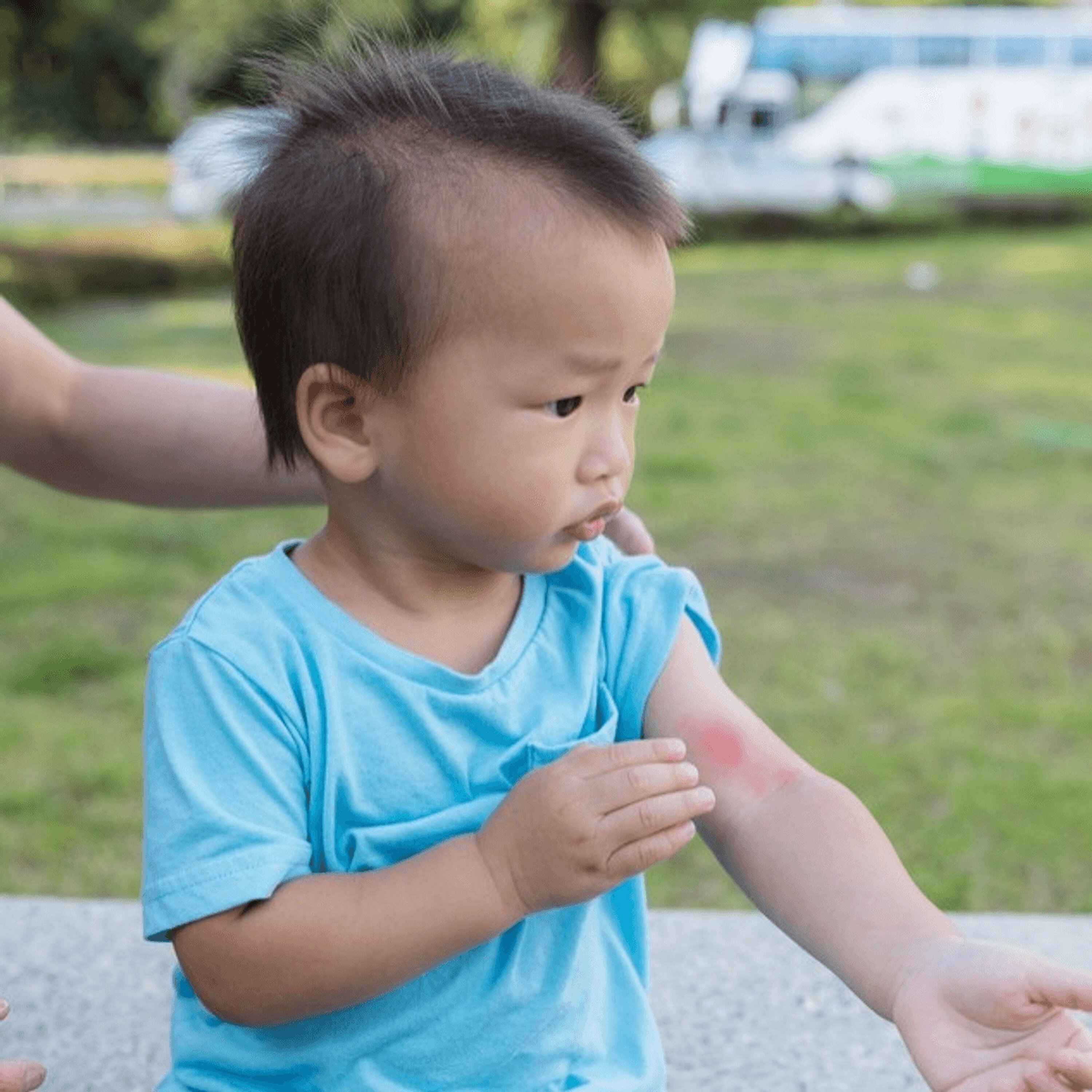 What Is DENV-3 And Why Is It Causing Dengue To Spike?