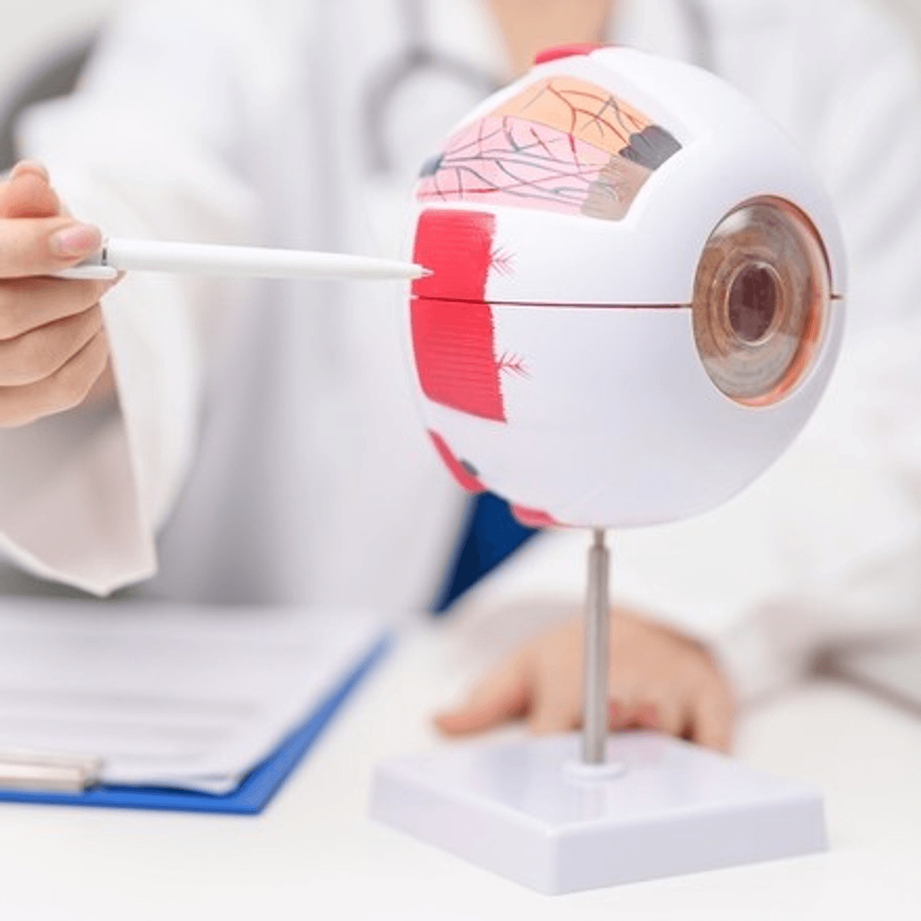 Ask An Ophthalmologist: How We See