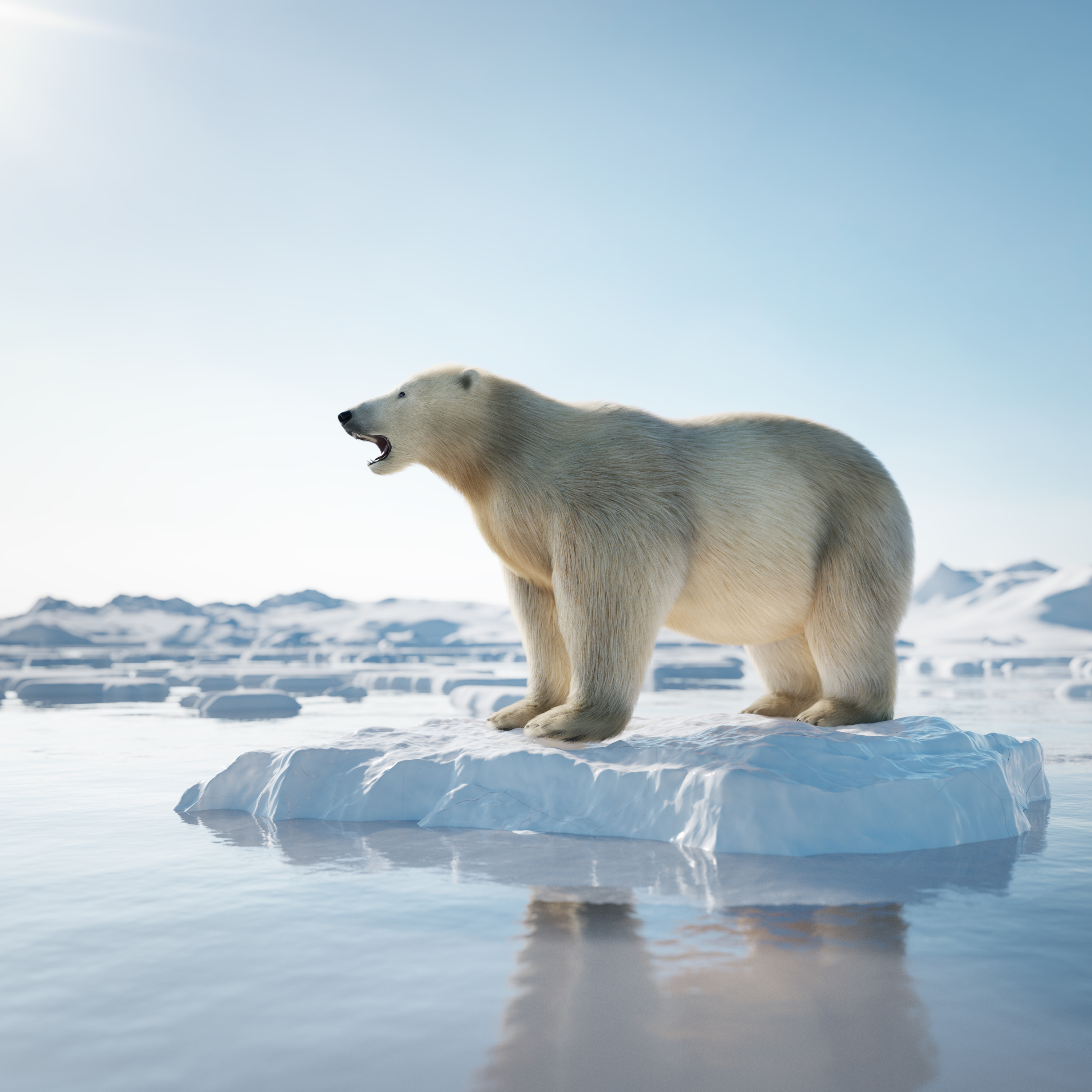 「北极熊之都」也沦陷　全球暖化加速生态危机