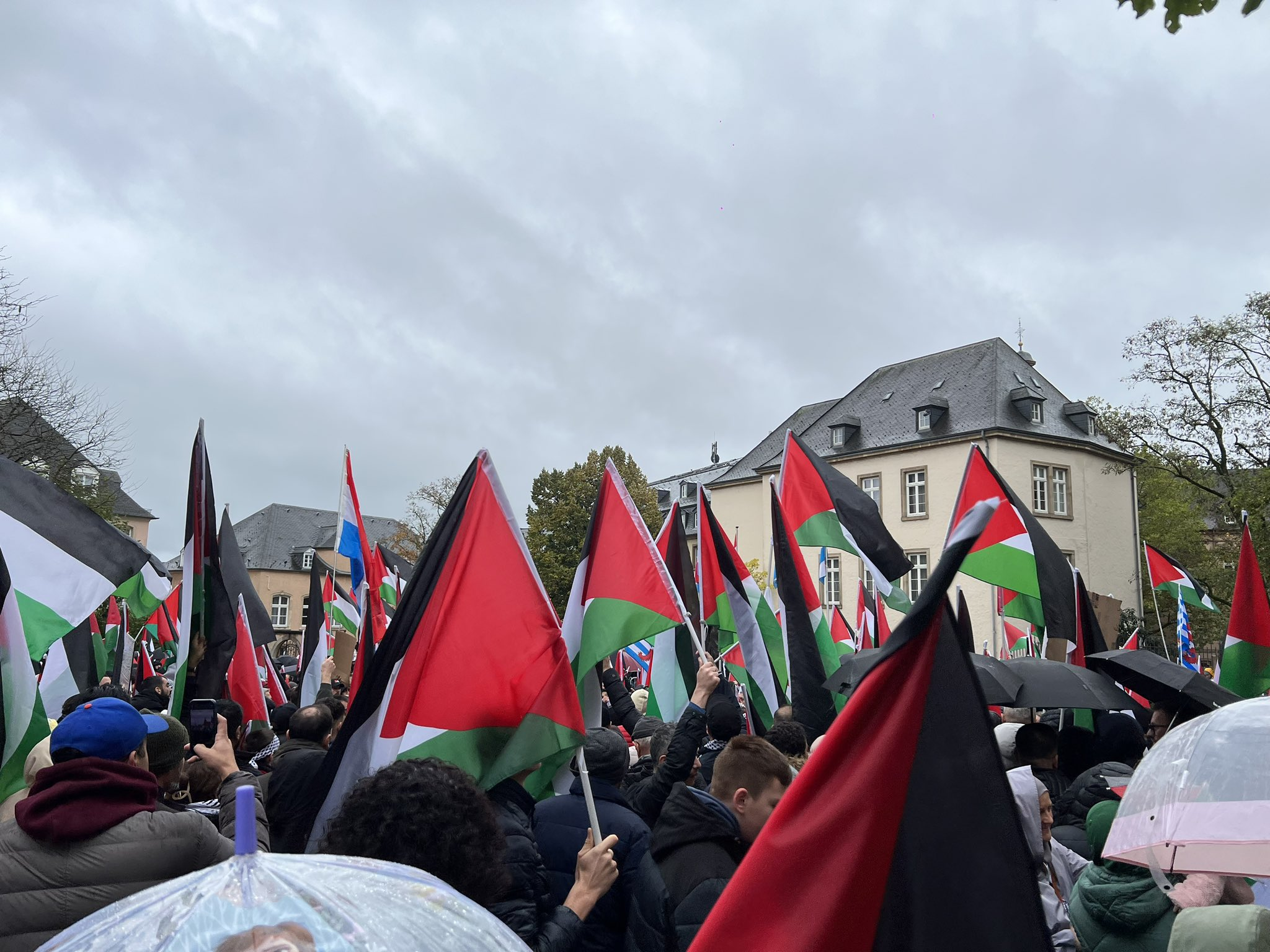 巴以冲突  ：舆论风向悄然变化 各国人民声援巴勒斯坦