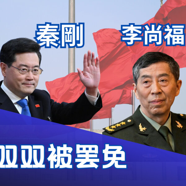 秦刚李尚福双双被罢免国务委员,外交部水多深?