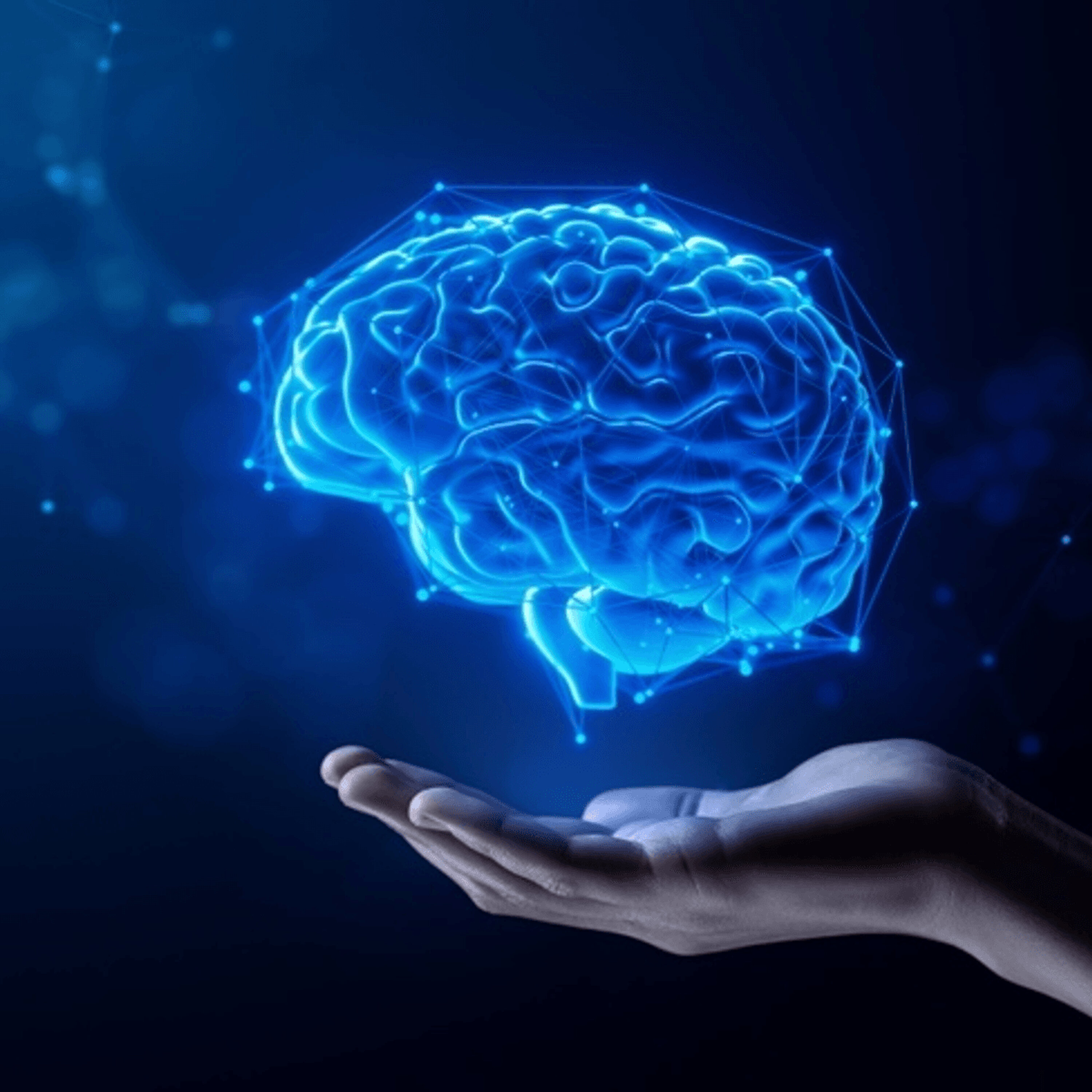Two Brains, 1,156 Presidential Trades and the Piranha That Got Away