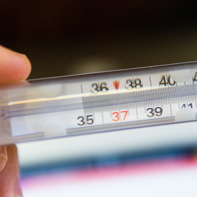 Keeping Our Built Environment Cool