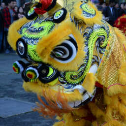 Behind the Scenes at the National Southern Lion Dance Championship