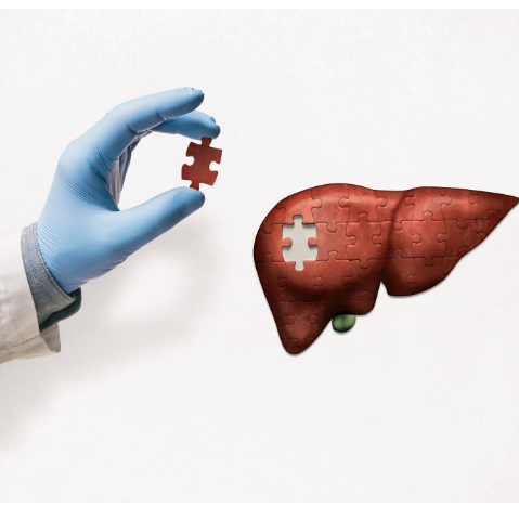 Pledging Your Organs: What Are You Waiting For? 