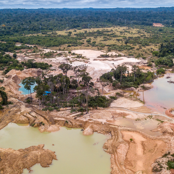 Should Timber Companies Recompense Flood Victims?