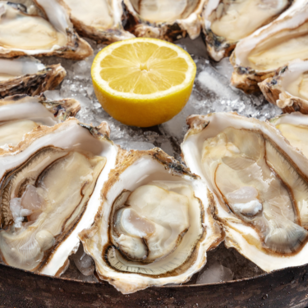Today on Twitter: Food Court Oysters, Yay Or Nay?