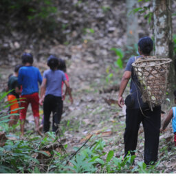 Why Can’t Orang Asli Sell Forest Produce?