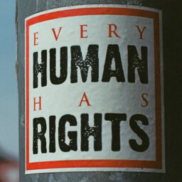 Today On Twitter: Human Rights Day