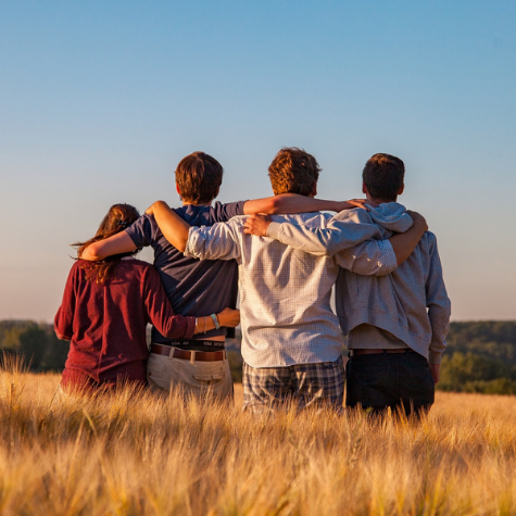 What Brings Friends Together?