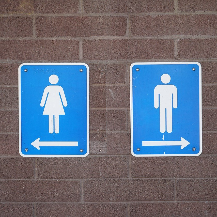 The Case For Public Toilets 