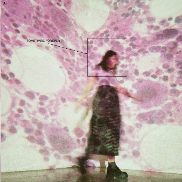 Review: Soccer Mommy's Sometimes, Forever