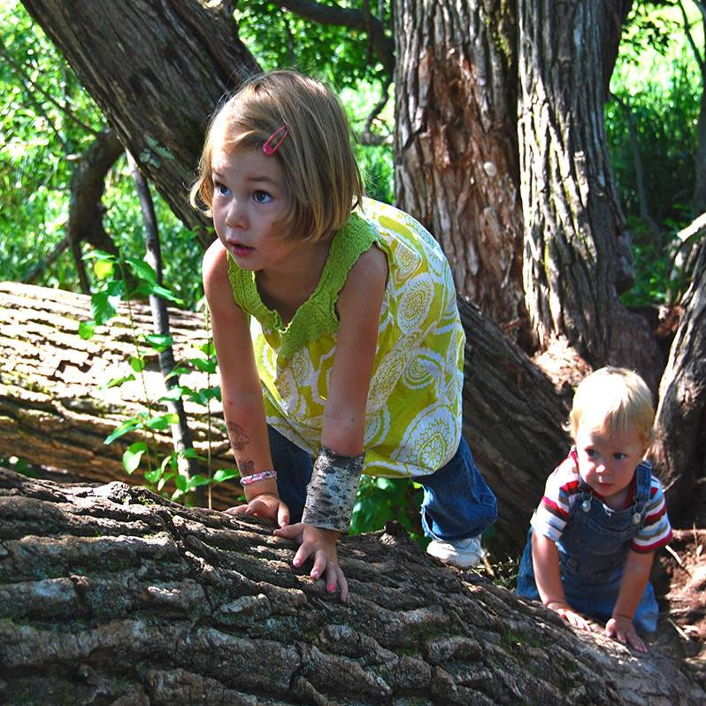 Out Of The Box #5: The Benefits of “Risky Play” for Kids