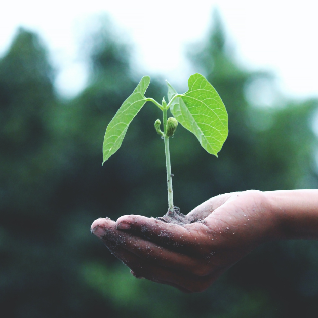 Living In Harmony With Nature