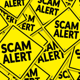 Online Scams: What, How and Why 