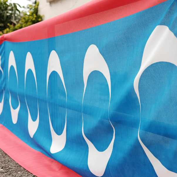 PKR To Let Their Own Flag Fly In Johor