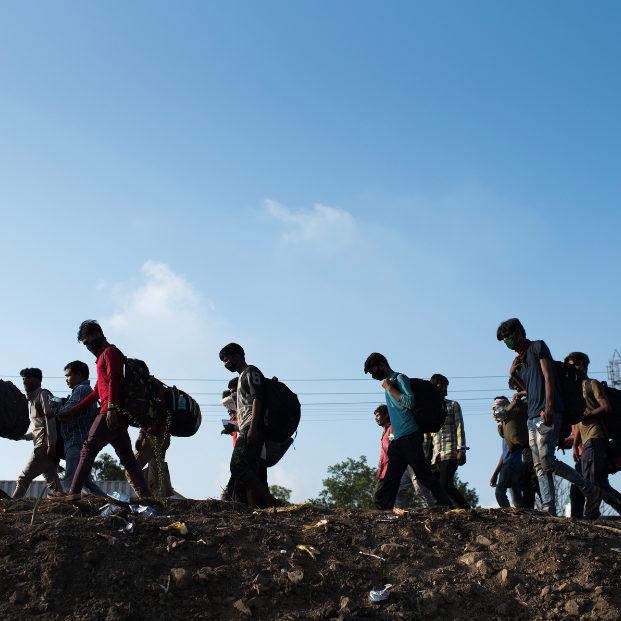 Tracking Refugees Through TRIS