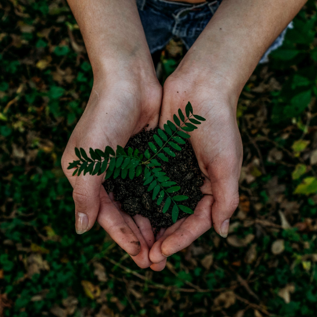 World Earth Day 2022: Working & Learning Together For Our Planet