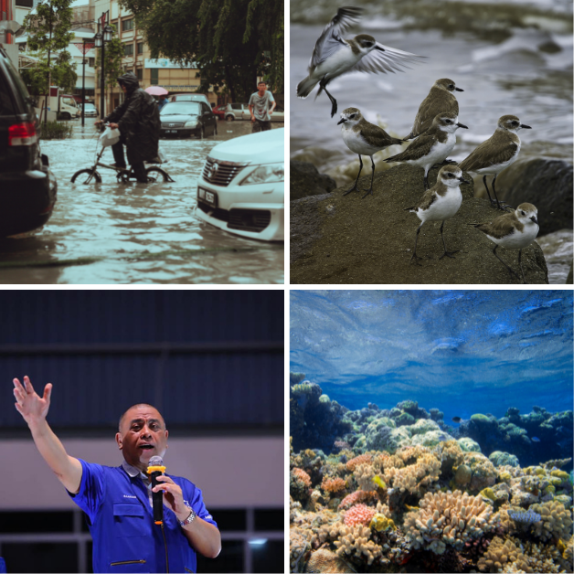 Macaranga Wrap-up: May 2022