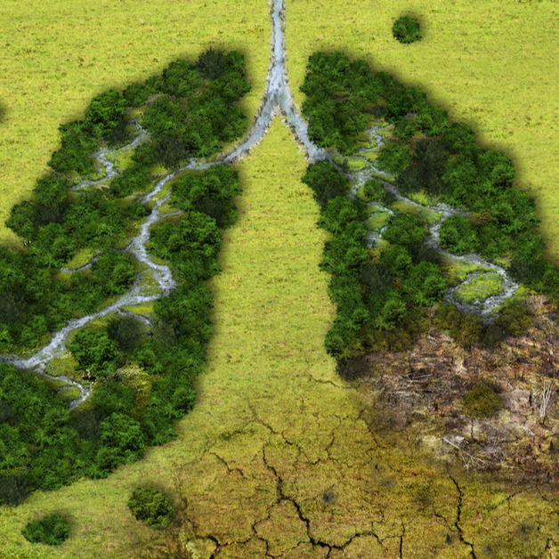 IPCC Report 2022 - An Atlas Of Human Suffering?