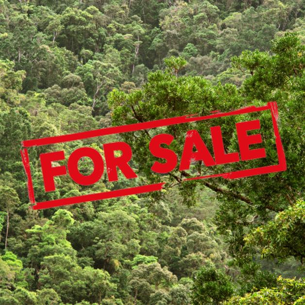 Stop Forests For Sale!