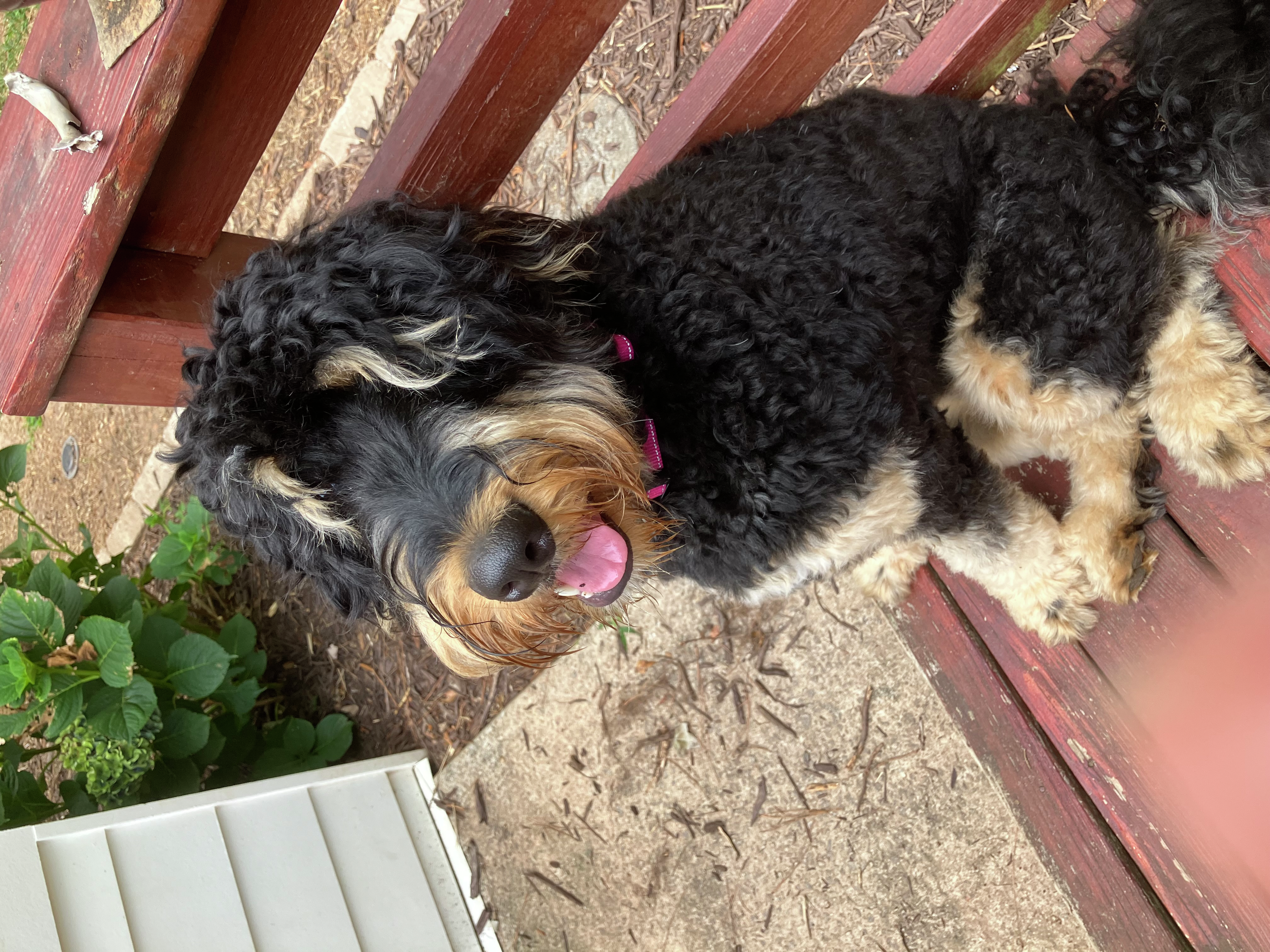 7.27.24 Weekend Show