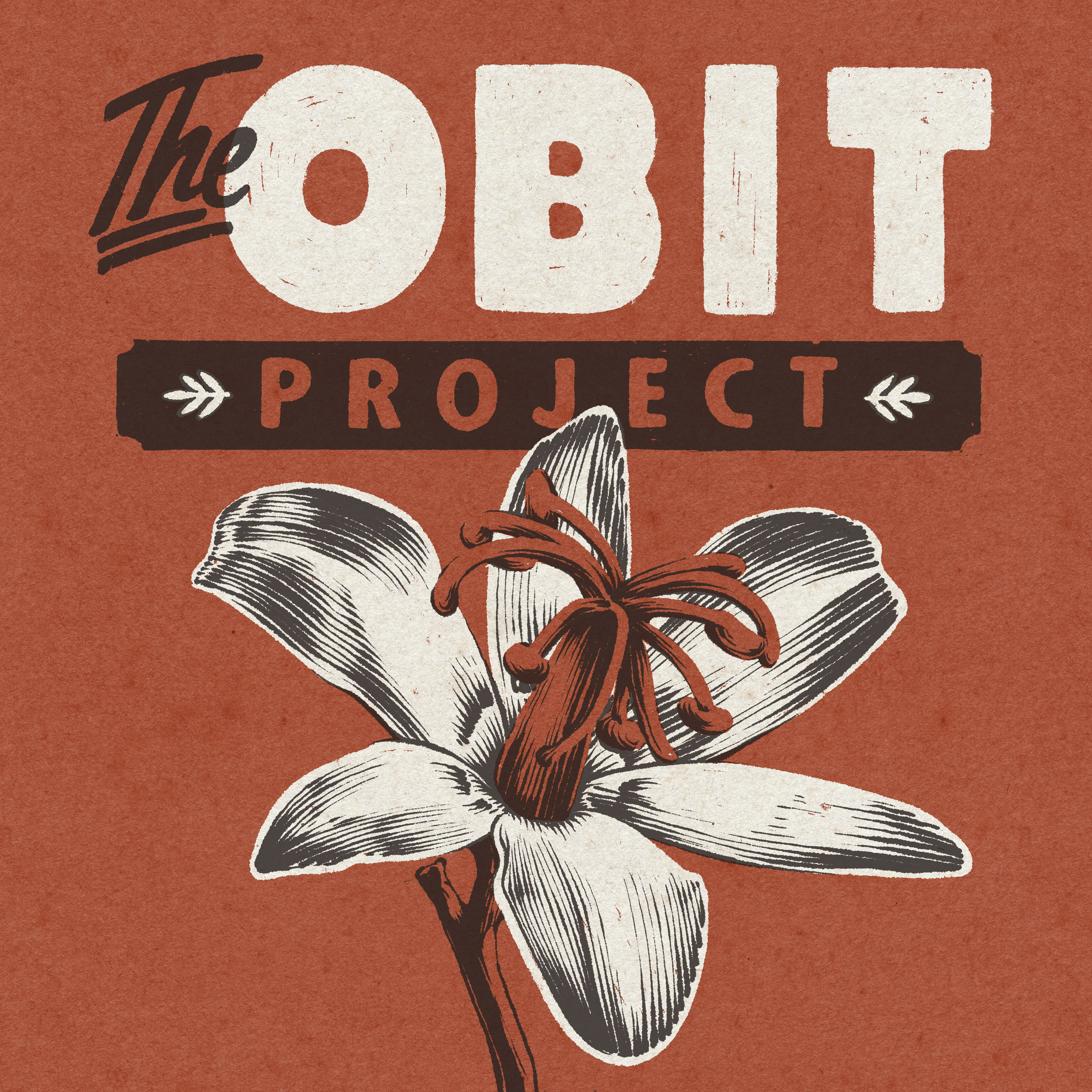 The Elephant Under Dillon