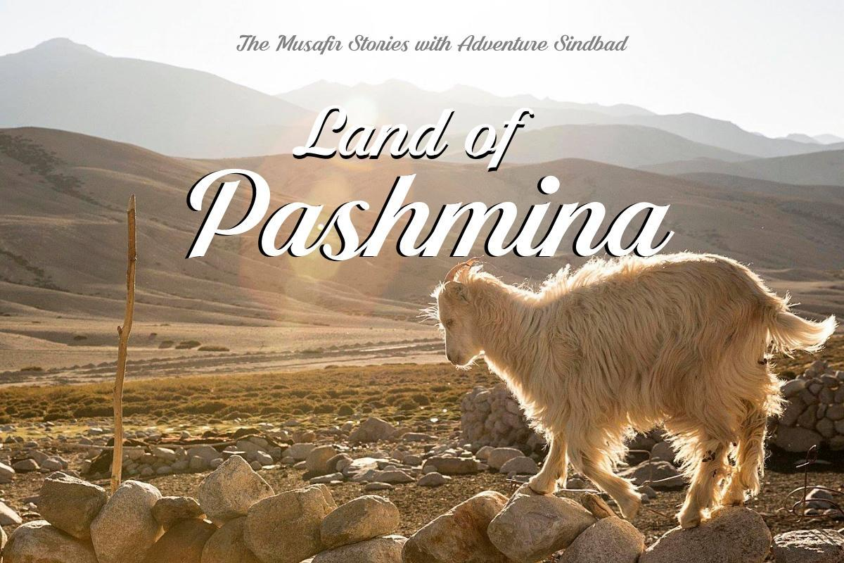 The Musafir Stories - India Travel Podcast