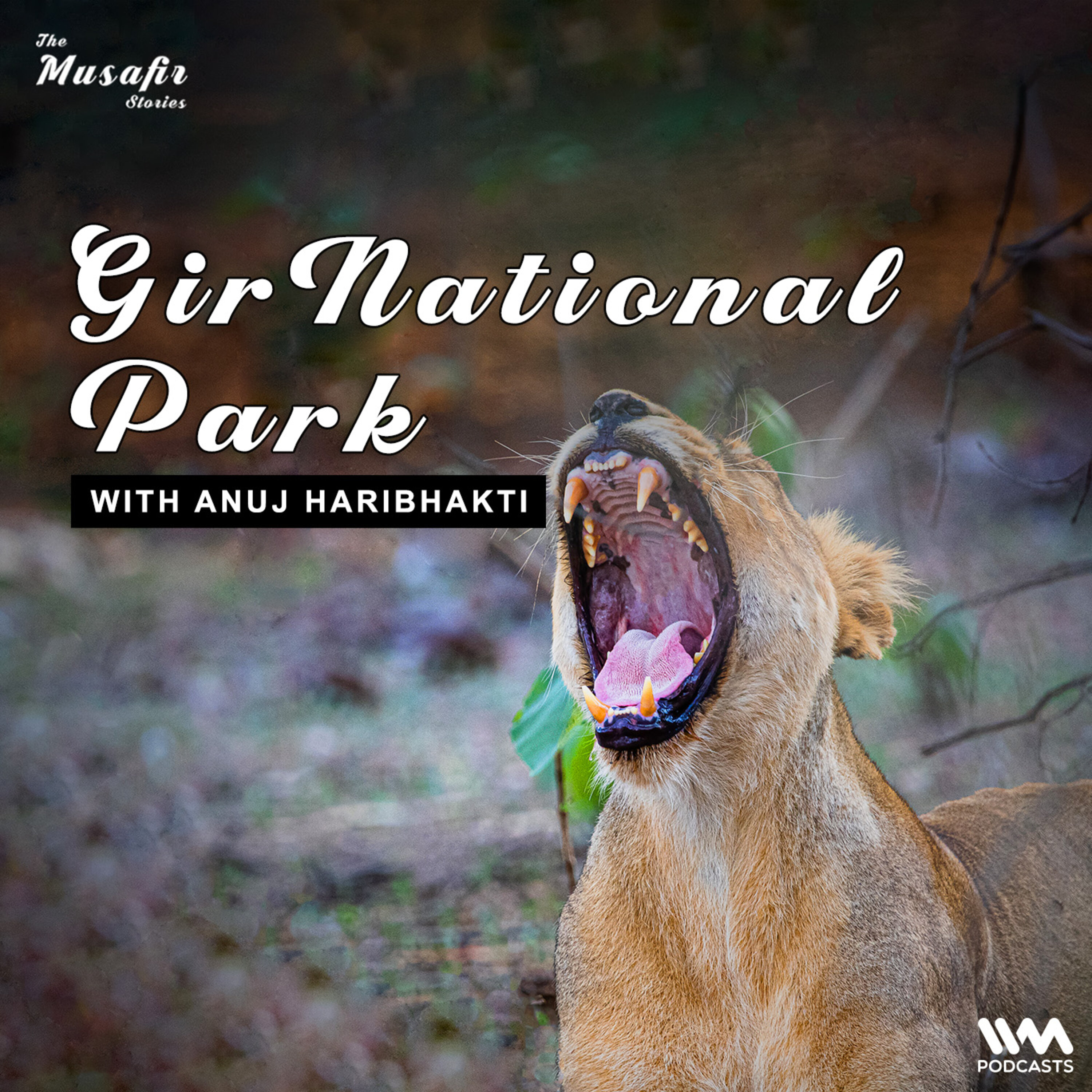 Gir National Park with Anuj Haribhakti