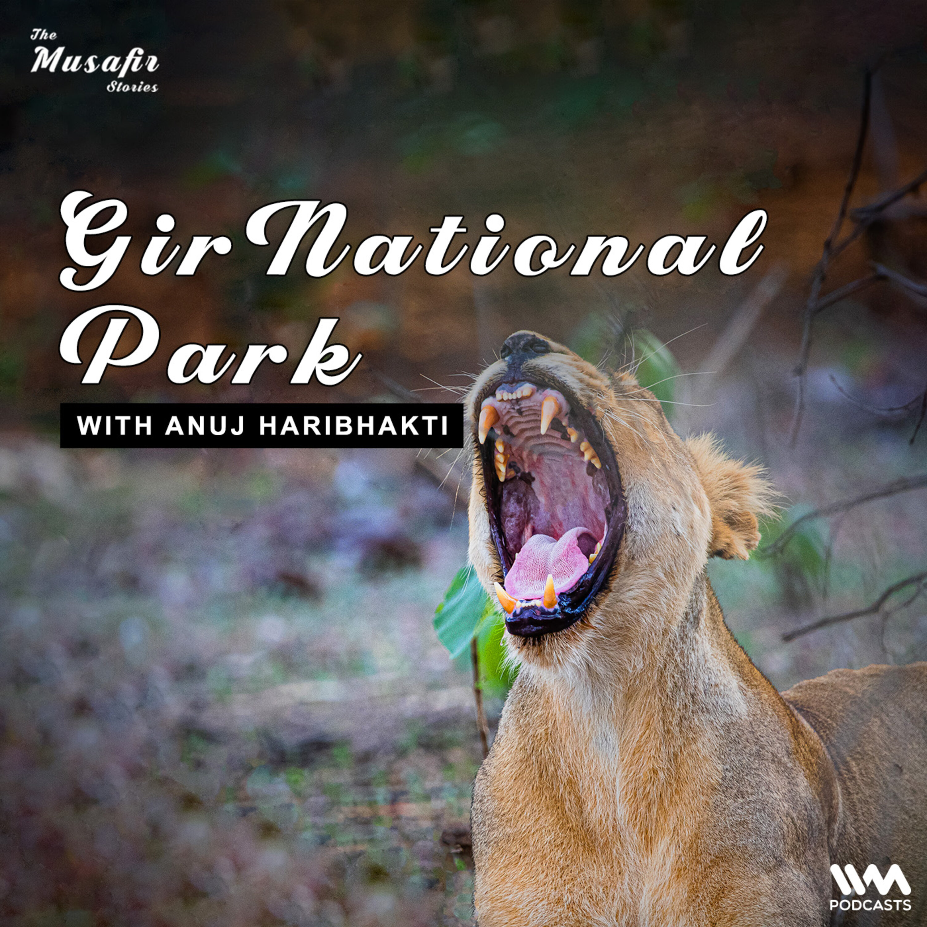 Gir National Park with Anuj Haribhakti episode artwork