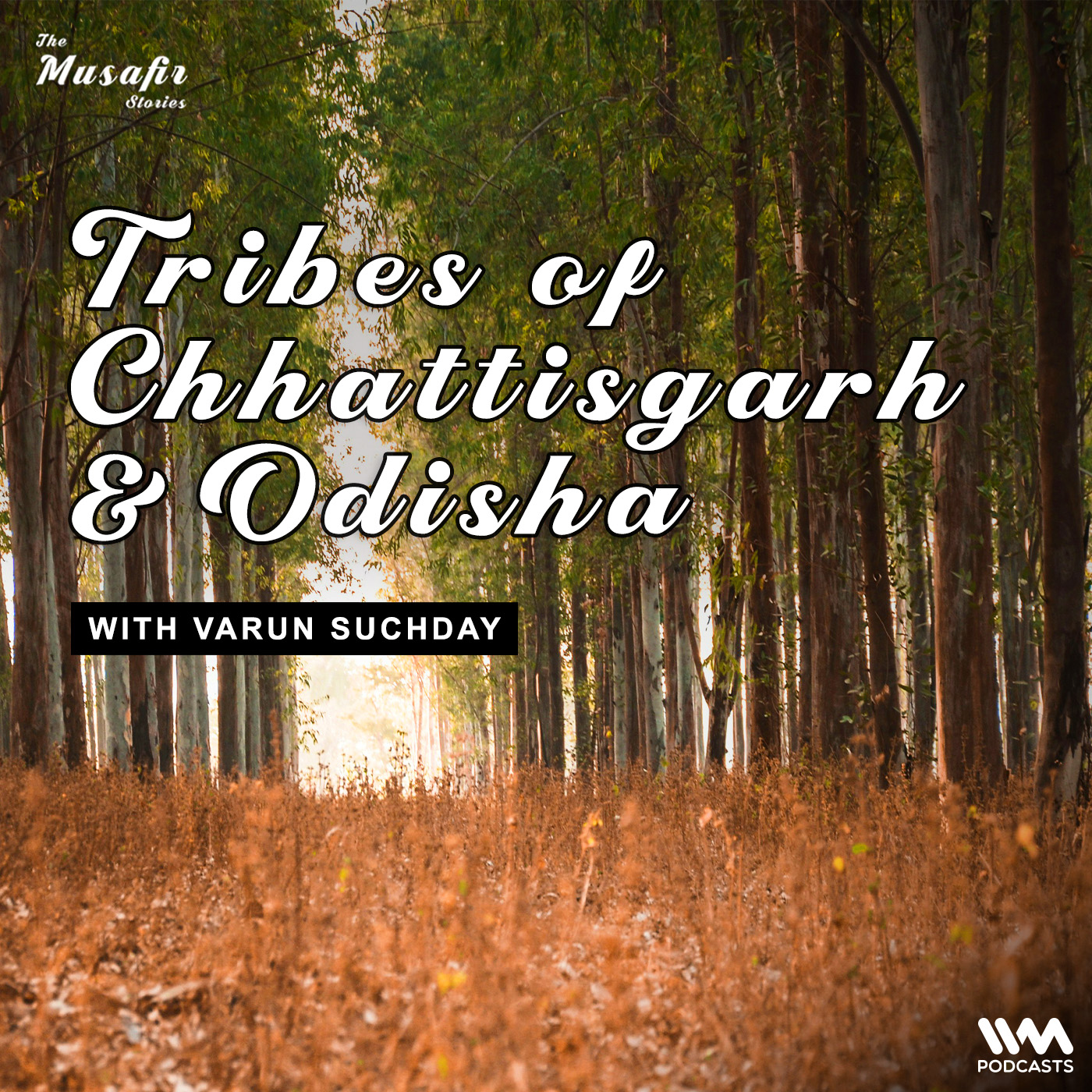 The Musafir Stories - India Travel Podcast