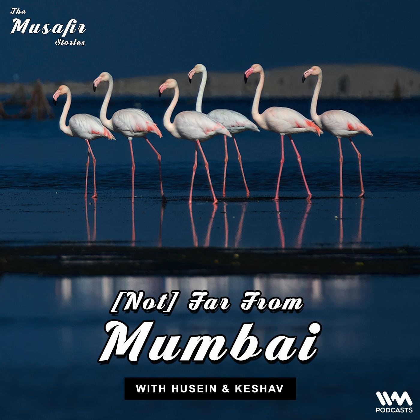 The Musafir Stories - India Travel Podcast