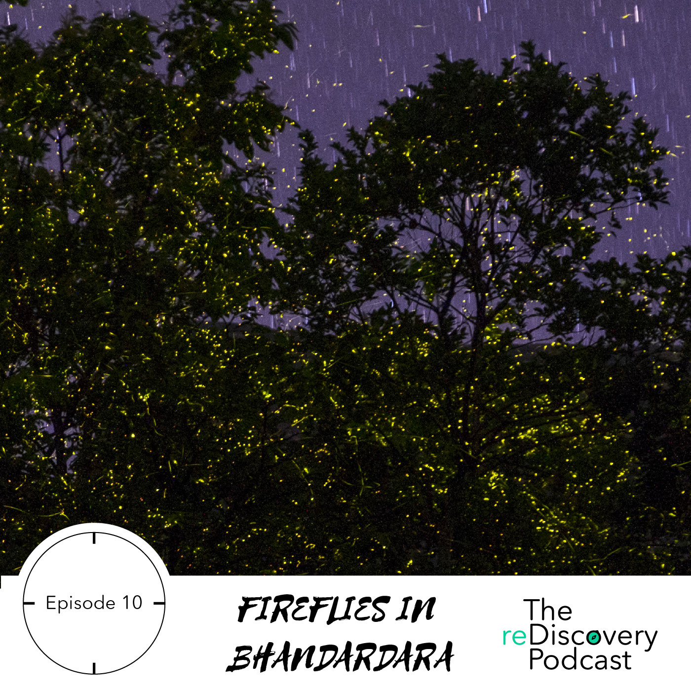 S01E10: Fireflies in Bhandardara episode artwork