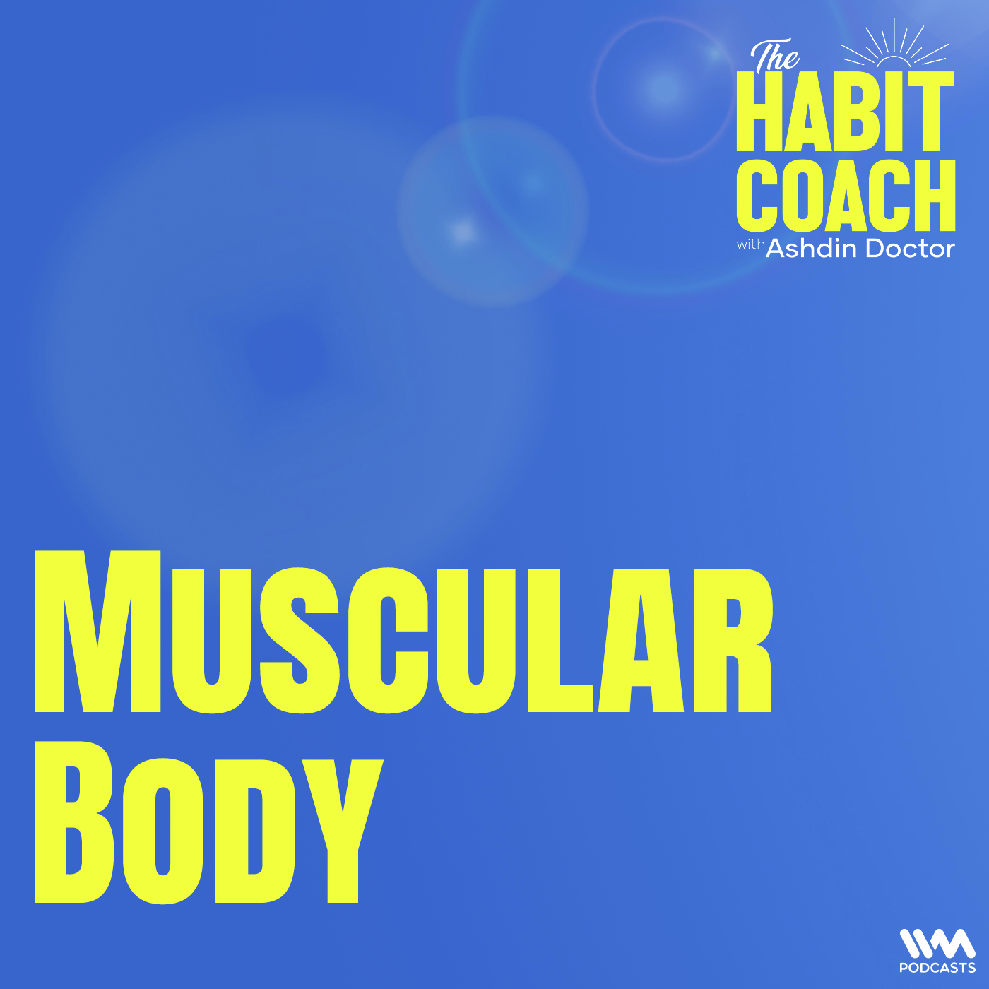 Muscular Body