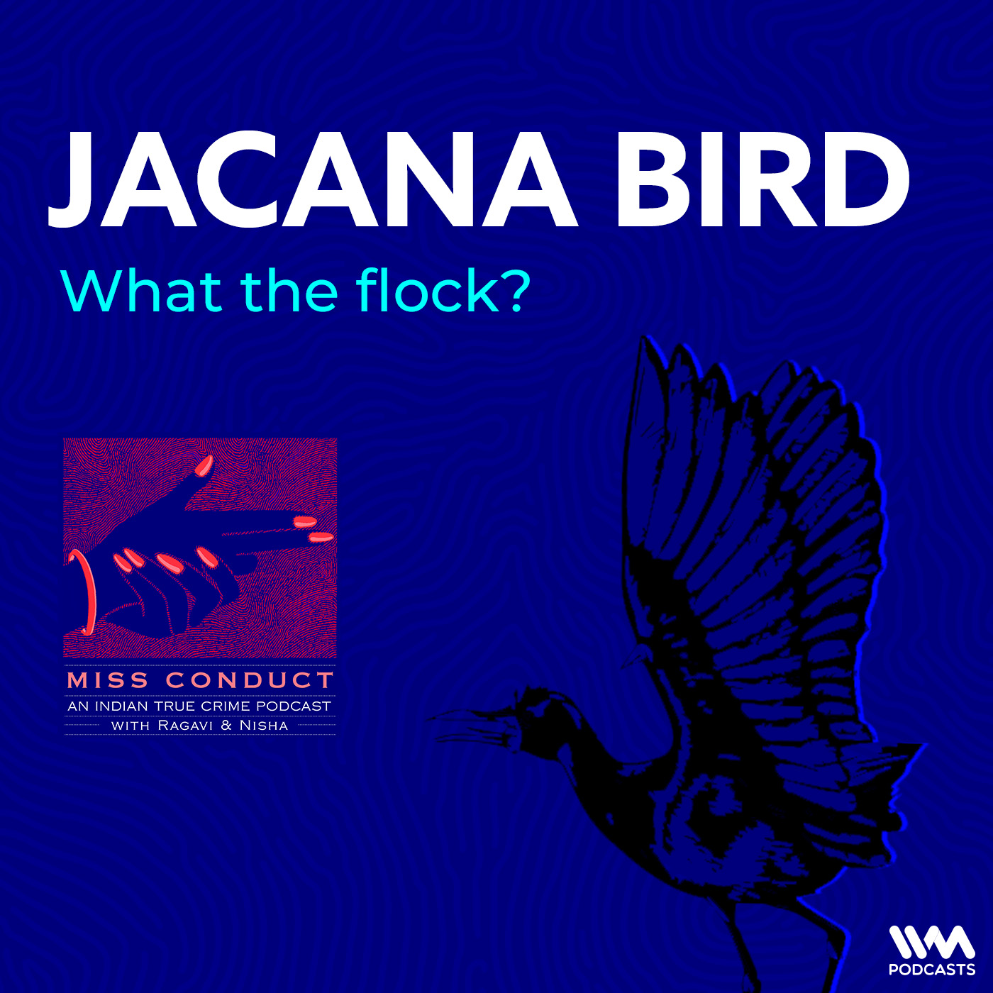 Jacana Bird