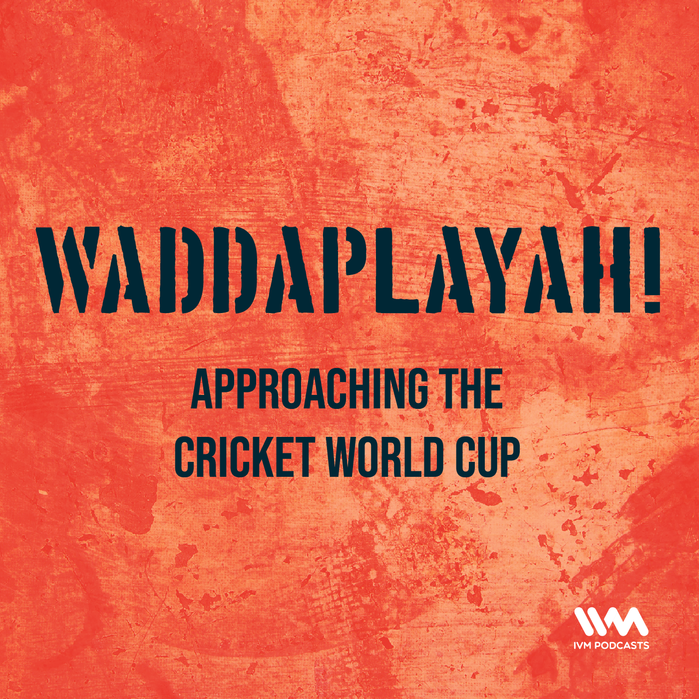 Ep. 11: Approaching The Cricket World Cup