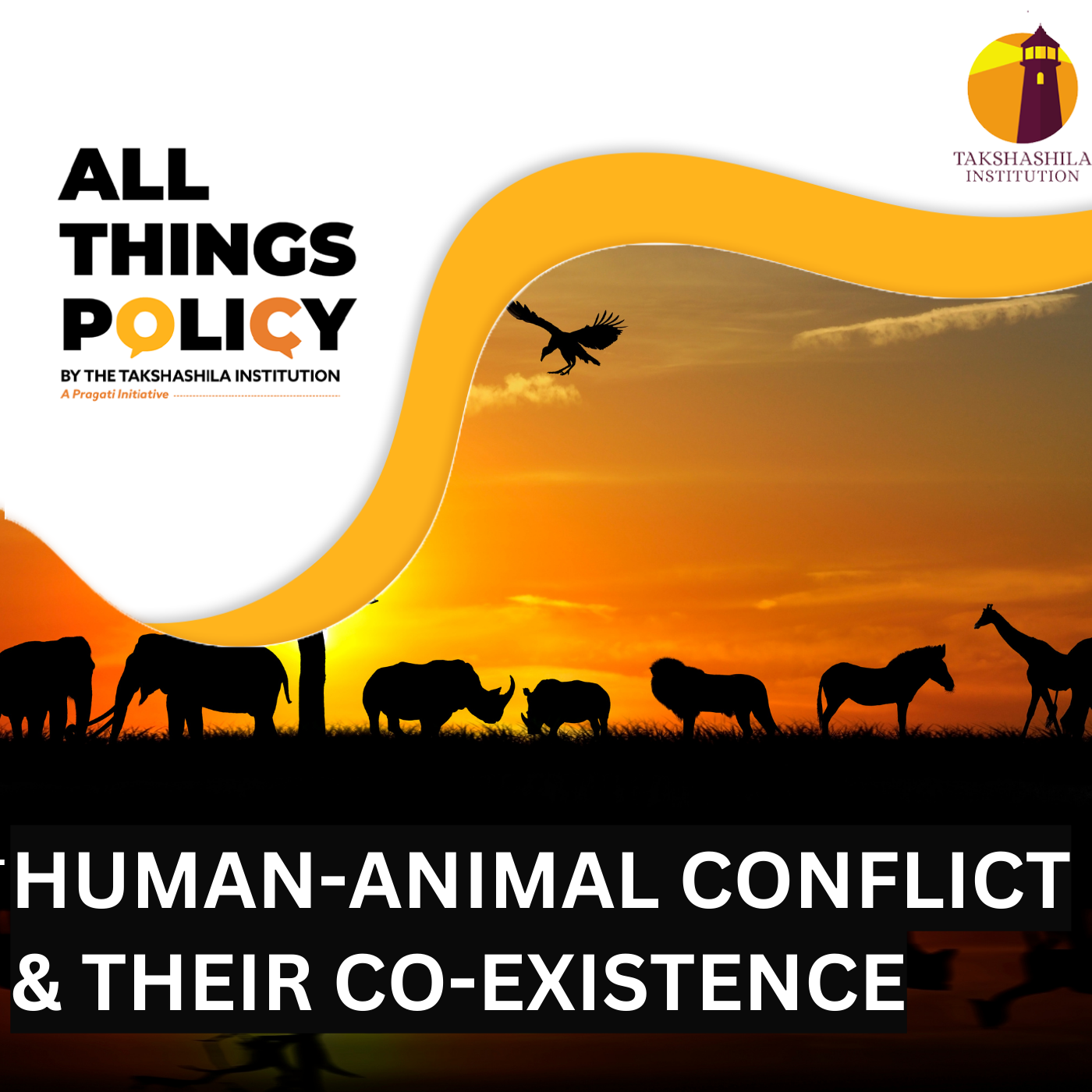 Human-Animal conflict & their co-existence